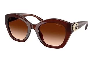 Coach CAD31 HC 8421U 584174