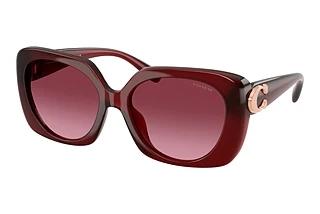 Coach HC8422U 58708H Burgundy GradientMilky Burgundy