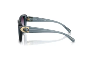 Seitenansicht Coach CAD33 (HC8422U - 5871U7)