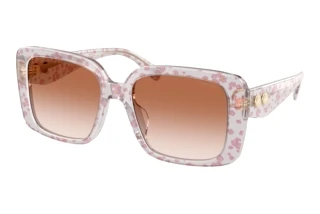 Vista frontale Coach CAD54 (HC8424U - 595313)