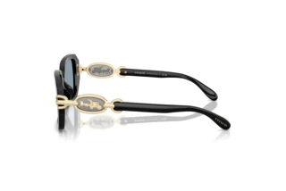 Vista laterale Coach CAD74 (HC8425U - 500272)