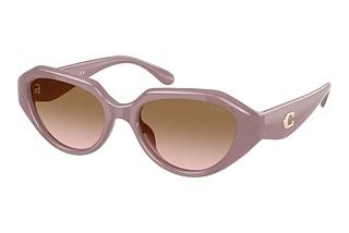 Coach HC8433U 549511 Brown Peach GradientMilky Putty
