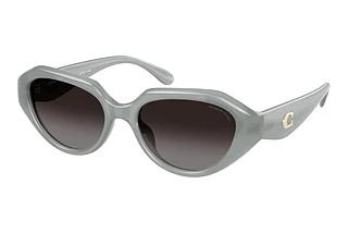 Coach HC8433U 5905T3 GreyMilky Eucalyptus