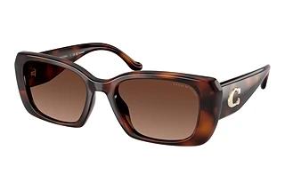 Coach HC8435U 5120T5 Brown Gradient PolarDark Tortoise