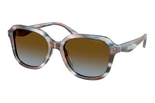 Coach HC8437U 589913 Brown Blue GradientStriated Maple/Blueberry