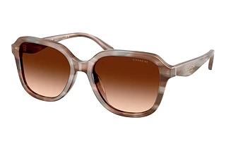Coach HC8437U 590174 Brown GradientStriated Redwood/Maple