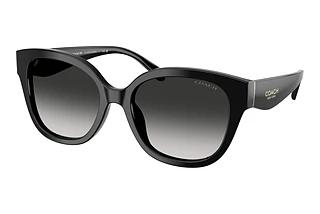 Coach HC8438U 500287 Grey GradientBlack