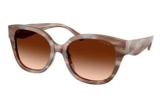 Coach HC8438U 590174 Brown GradientStriated Redwood/Maple