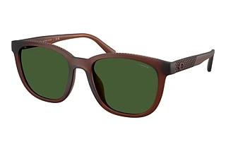 Coach HC8442U 591171 Green SolidMatte Transparent Brown