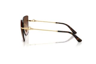Seitenansicht Dolce & Gabbana DG2321 (02/13)
