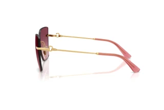 Seitenansicht Dolce & Gabbana DG2321 (02/8D)