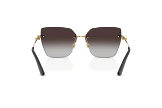 Vue arrière Dolce & Gabbana DG2321 (02/8G)