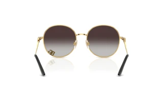 Vue arrière Dolce & Gabbana DG2324 (02/8G)