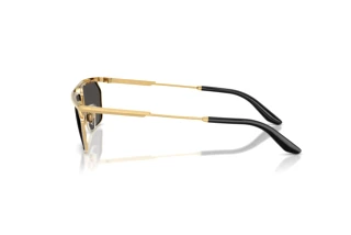Vista laterale Dolce & Gabbana DG2327 (131387)