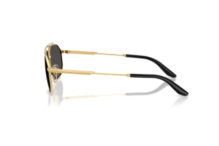 Seitenansicht Dolce & Gabbana DG2328 (131387)