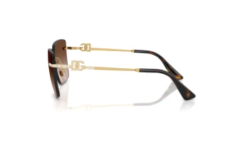 Vue latérale Dolce & Gabbana DG2332B (02/13)