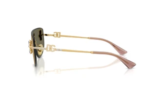 Vue latérale Dolce & Gabbana DG2333B (02/03)