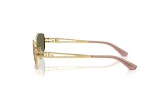 Vue latérale Dolce & Gabbana DG2338 (02/03)