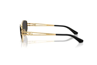Seitenansicht Dolce & Gabbana DG2338 (02/87)