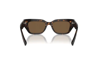 Rückansicht Dolce & Gabbana DG4462 (502/73)