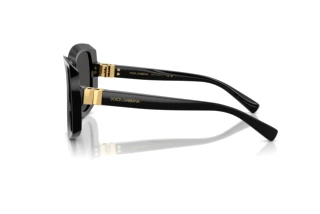 Seitenansicht Dolce & Gabbana DG4495 (501/87)