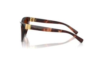 Seitenansicht Dolce & Gabbana DG4497 (322274)
