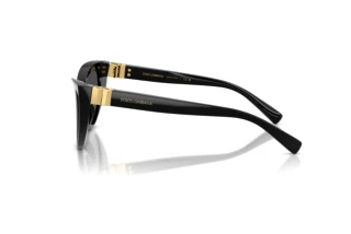 Vue latérale Dolce & Gabbana DG4497 (501/87)