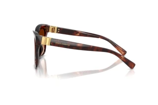 Seitenansicht Dolce & Gabbana DG4498 (322274)