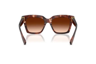 Rückansicht Dolce & Gabbana DG4498 (322274)