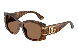 Vista frontale Dolce & Gabbana DG4501 (347073)