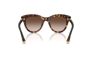 Vue arrière Dolce & Gabbana DG4518 (502/13)