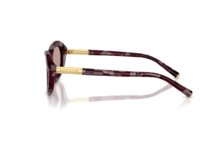 Seitenansicht Dolce & Gabbana DG4519 (34647N)