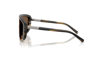 Seitenansicht Dolce & Gabbana DG4520 (306373)