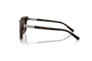 Seitenansicht Dolce & Gabbana DG4521 (502/13)