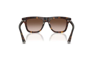 Rückansicht Dolce & Gabbana DG4521 (502/13)