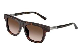 Dolce & Gabbana DG 4521 502/13