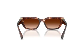 Vista posteriore Dolce & Gabbana DG4532 (322274)
