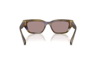 Vue arrière Dolce & Gabbana DG4532 (3447LA)