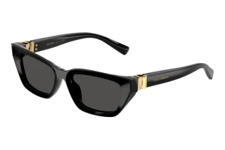 Vorderansicht Dolce & Gabbana DG4532 (501/87)