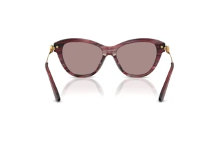 Rückansicht Dolce & Gabbana DG4534 (3474LA)