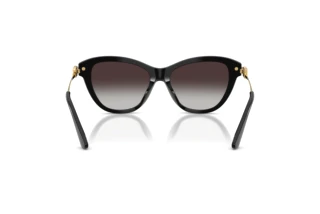 Rückansicht Dolce & Gabbana DG4534 (501/8G)