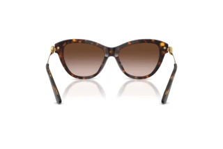 Vue arrière Dolce & Gabbana DG4534 (502/13)