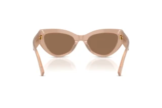 Vue arrière Dolce & Gabbana DG4536 (304273)