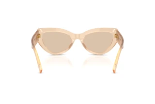 Vue arrière Dolce & Gabbana DG4536 (308993)