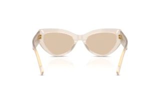Rückansicht Dolce & Gabbana DG4536 (342093)