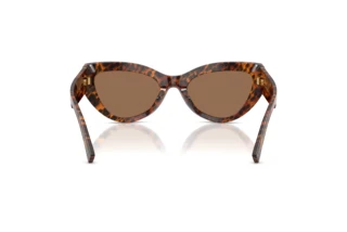 Vue arrière Dolce & Gabbana DG4536 (347073)