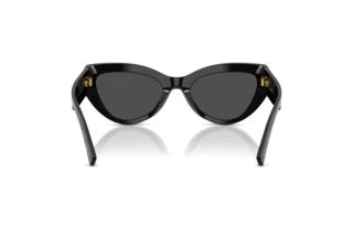Vue arrière Dolce & Gabbana DG4536 (501/87)