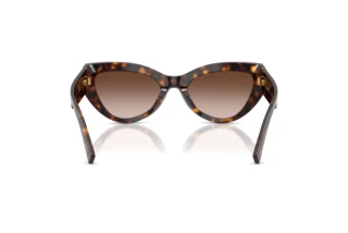 Vue arrière Dolce & Gabbana DG4536 (502/13)