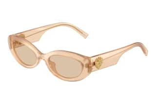 Vue de face Dolce & Gabbana DG4537 (308993)