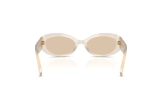 Vue arrière Dolce & Gabbana DG4537 (342093)